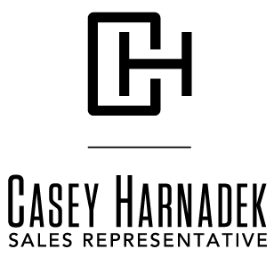 agent logo